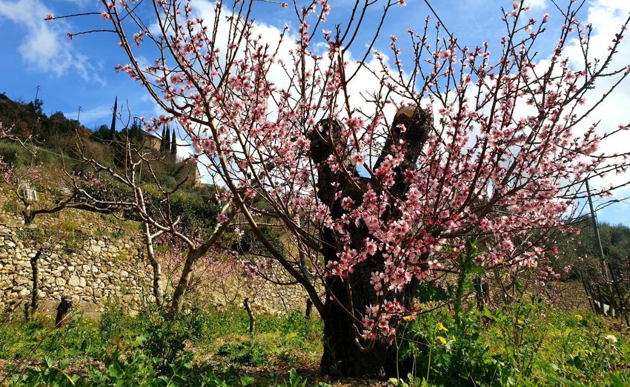 Agriturismo Alveare Finale Ligure Zewnętrze zdjęcie
